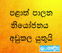 පළාත් පාලන නියෝජනය අඩු කළ යුතුයි